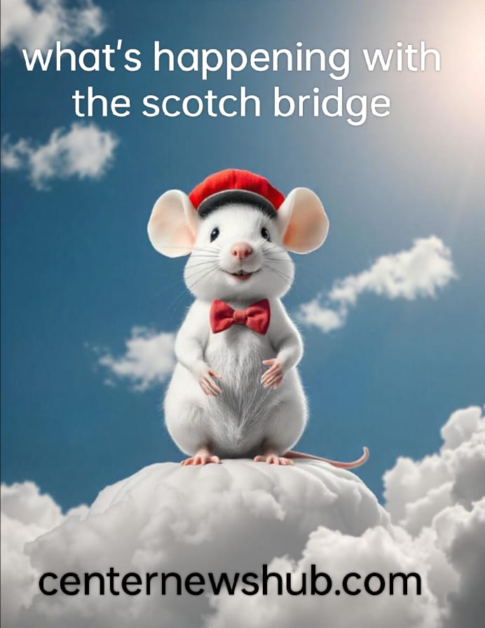 What’s Happening with the Scotch Bridge?