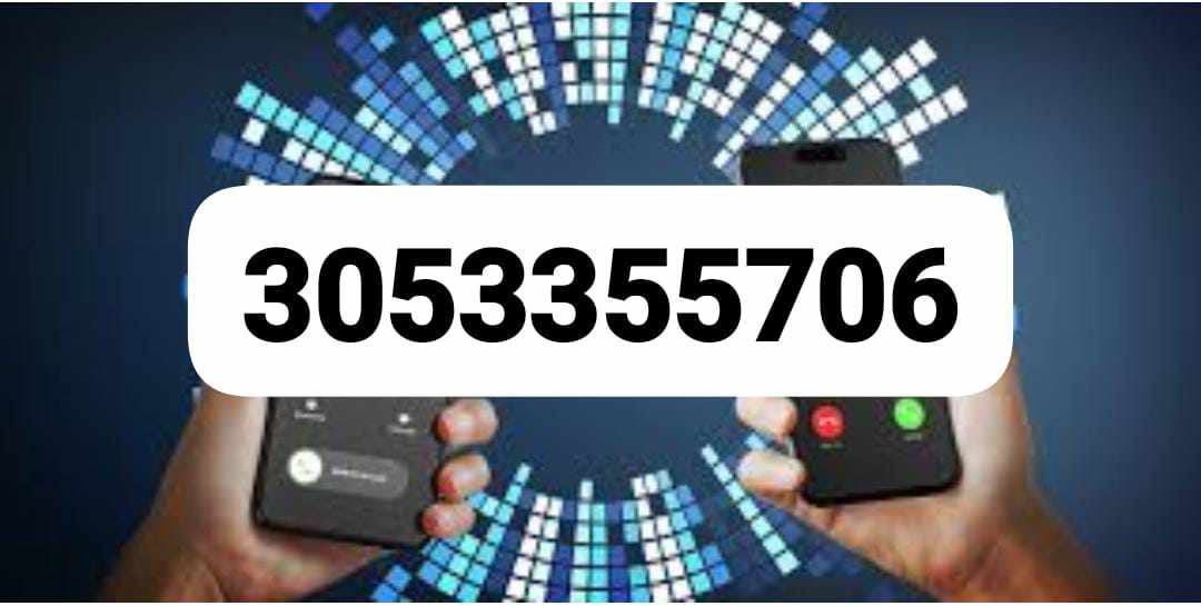 3053355706