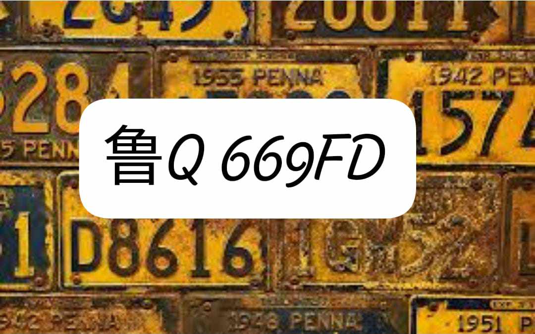 鲁Q 669FD